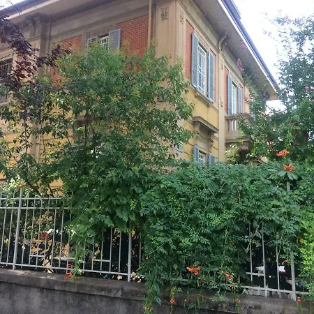 Golden House *